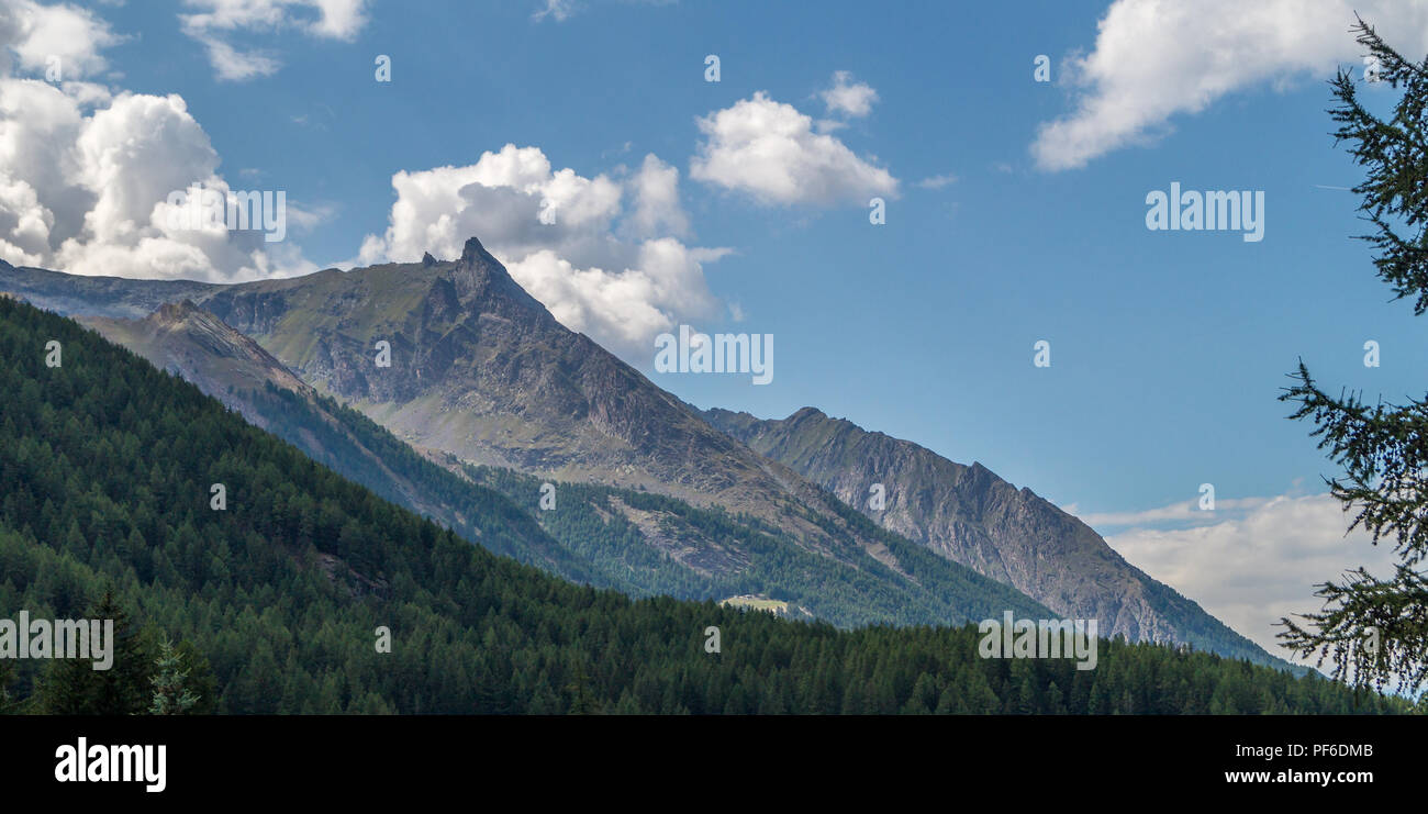Bergpanorama im Sommer Stockfoto