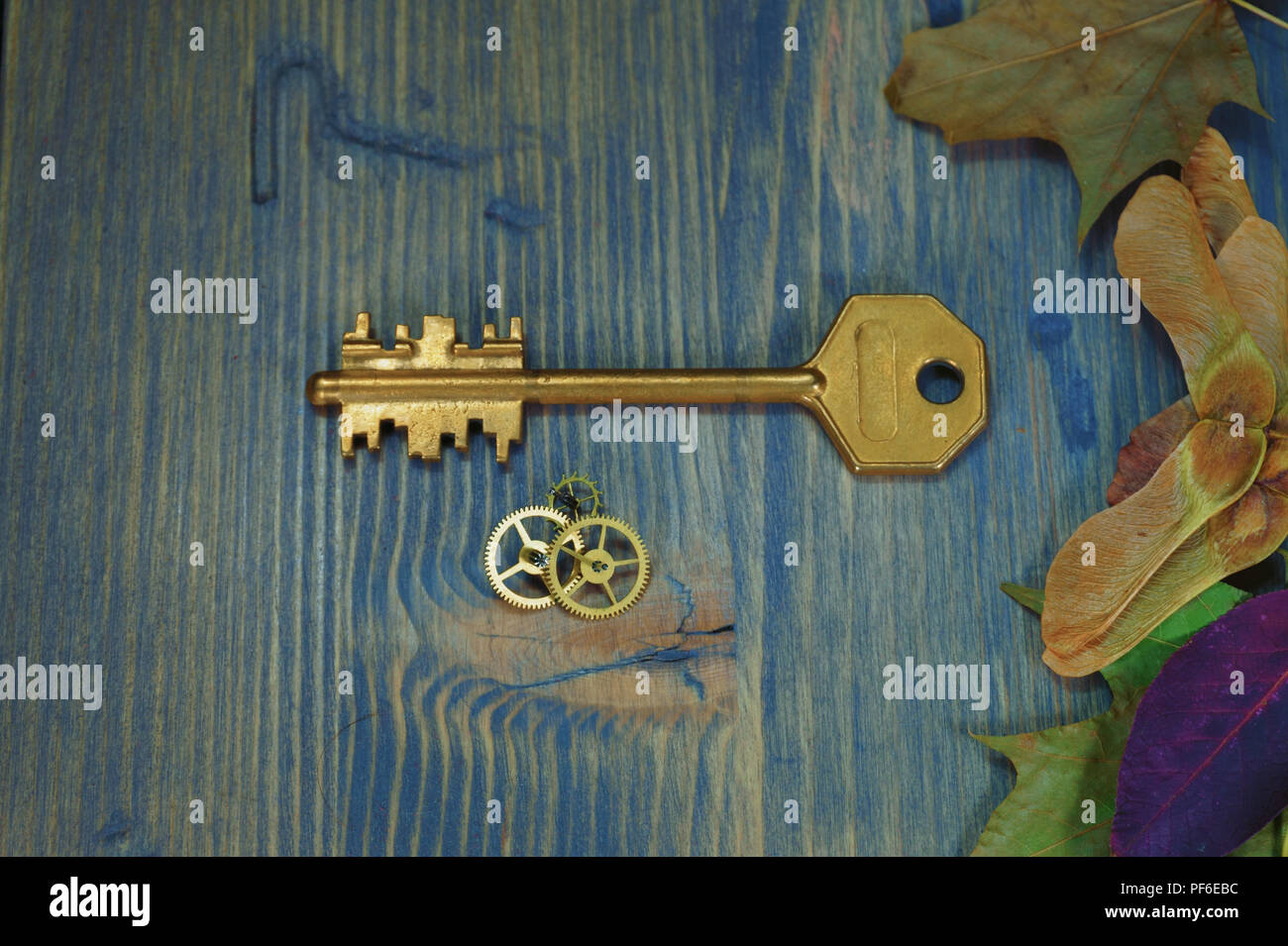 Close-up von oben einer alten goldenen Schlüssel neben kleinen Zahnrad Zahnräder und Blätter im Herbst auf einem alten Holztisch Stockfoto
