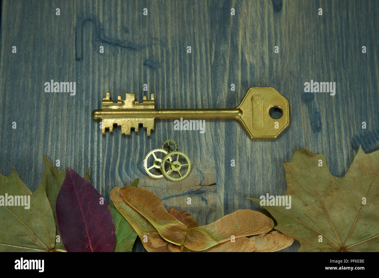 Close-up von oben einer alten goldenen Schlüssel neben kleinen Zahnrad Zahnräder und Blätter im Herbst auf einem alten Holztisch, Sicherheit, Locked Content Konzept wit Stockfoto