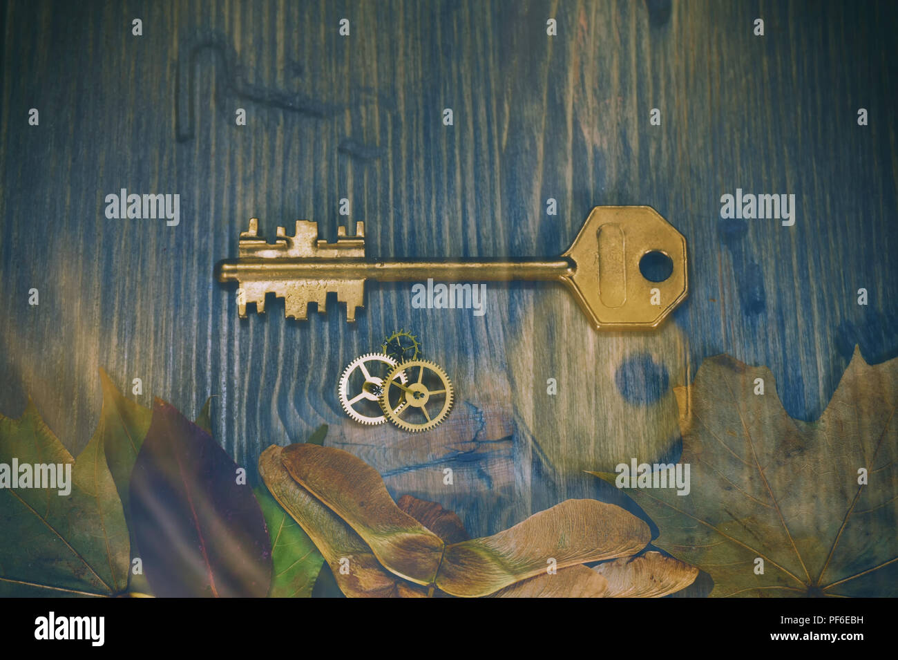 Konzeptionelle Nahaufnahme eines Vintage goldenen Schlüssel und kleinen Zahnrad Zahnrad als Symbol für den Zugang, das Eigentum oder die Sicherheit. Selektiver Fokus und kostenlose Kopie. Stockfoto