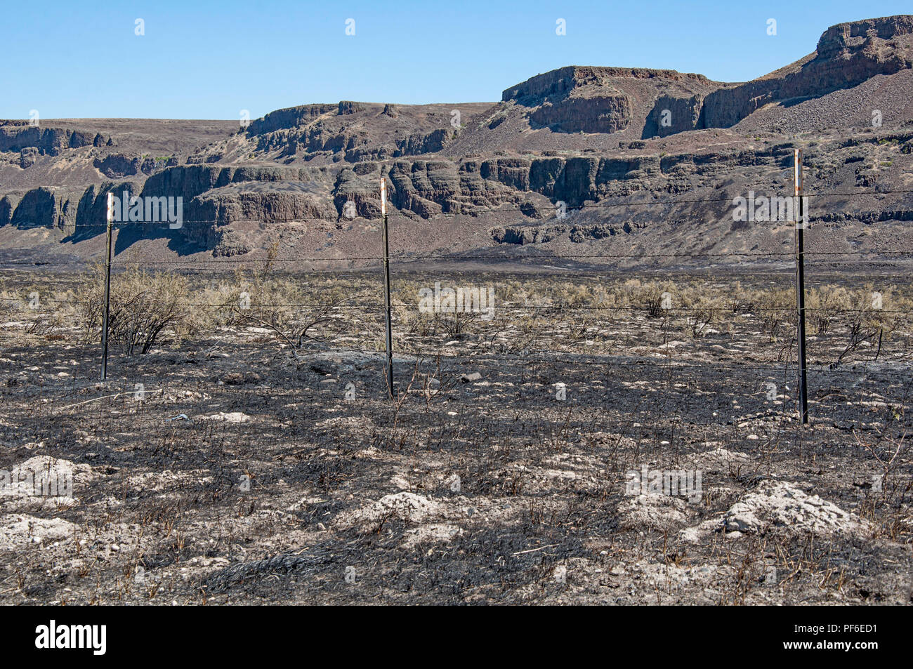 Dies ist eine Landschaft der Wüste Wald Feuer vor kurzem mit dem Boden und Pflanzen verbrannt. In der Nähe von Soap Lake im Staat Washington, Grant County. Diese Stockfoto