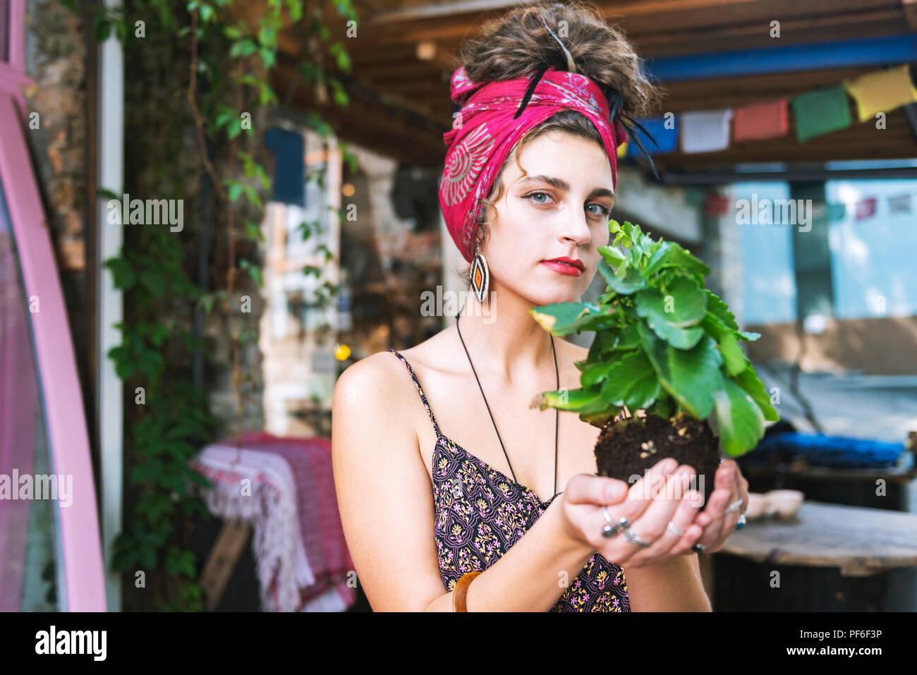 Eco freundliche Frau die Pflege von grüne Pflanze Stockfoto
