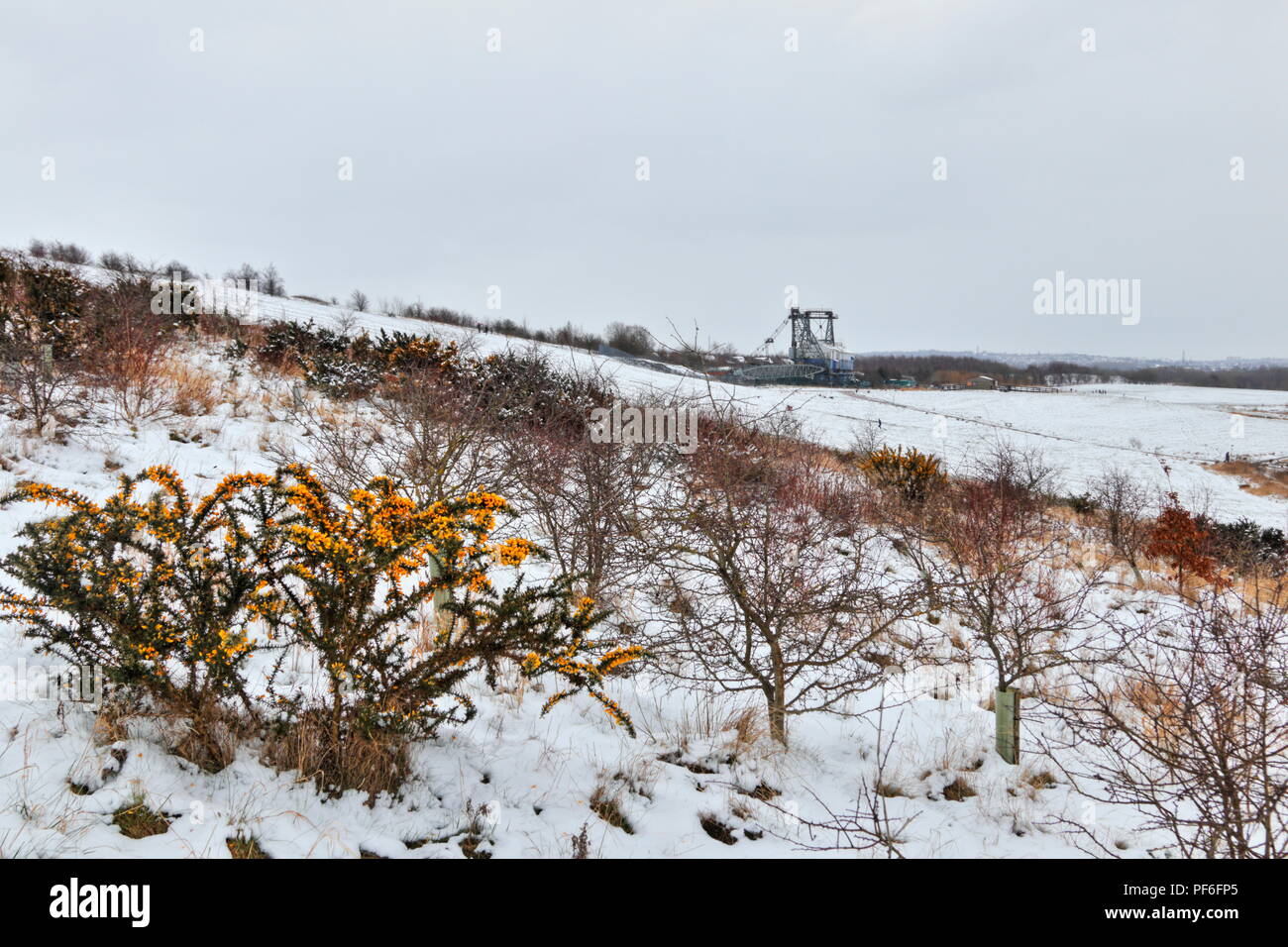 Ruston Bucyrus werden 1150 ist ein seilbagger bei RSPB St Aidan's in der Nähe von Leeds, die jetzt Es ist Ort der Ruhe und dient als Museum. Stockfoto