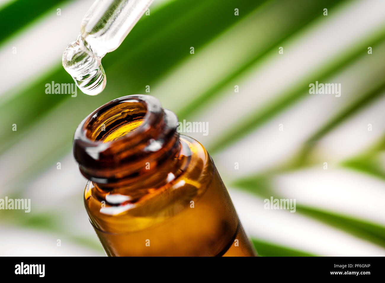 Herbal essence. alternative Medizin. ätherisches Öl fallen von der Pipette in die Flasche. Stockfoto