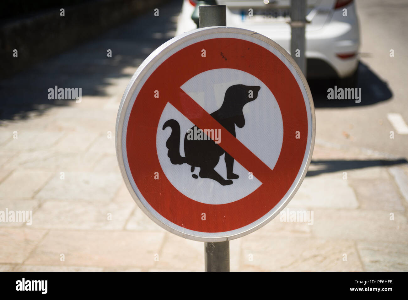 Ein Warnschild gegen Hundekot auf einer öffentlichen Straße in Corte, Korsika, Frankreich, Europa Stockfoto