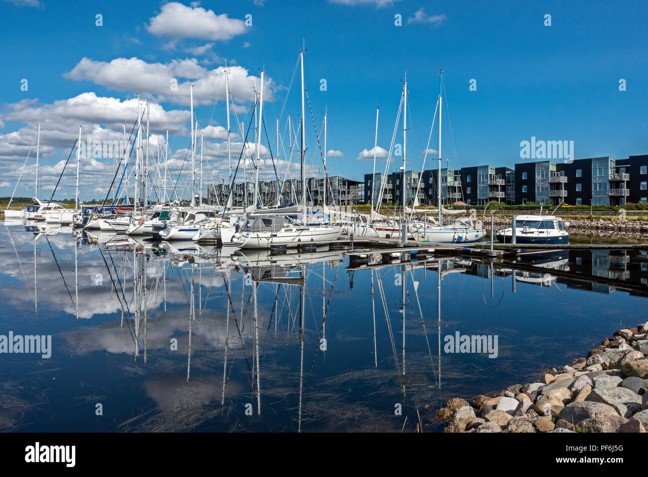 Marina Fjordparken Limfjorden in Aalborg Jütland Dänemark Europa mit angelegten Yachten und Segelboote im Hafen an einem sonnigen Tag wider Stockfoto