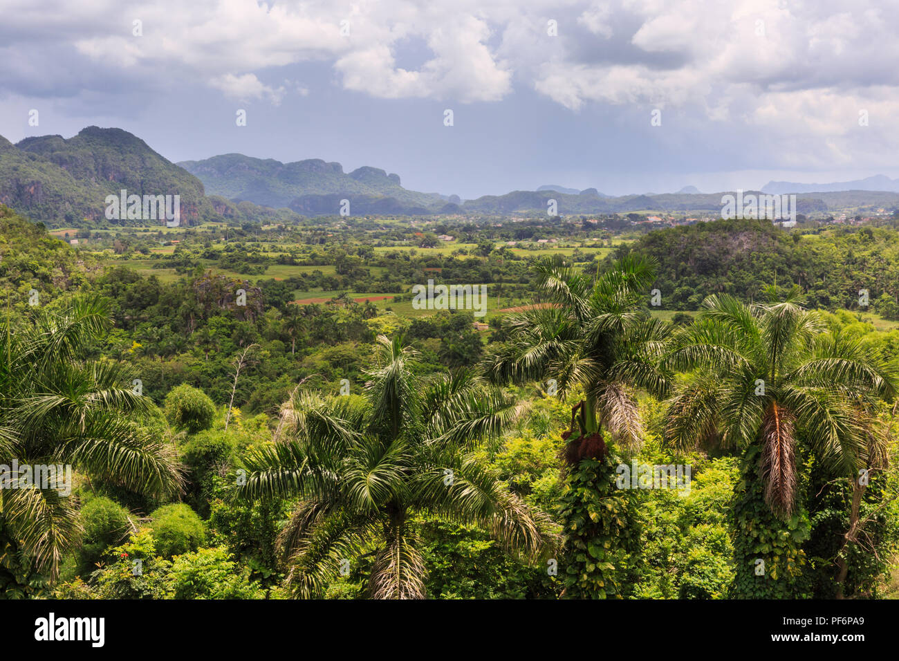 Viñales Tal Panorama, Blick über üppig grüne Landschaft, Provinz Pinar del Rio, Kuba Stockfoto