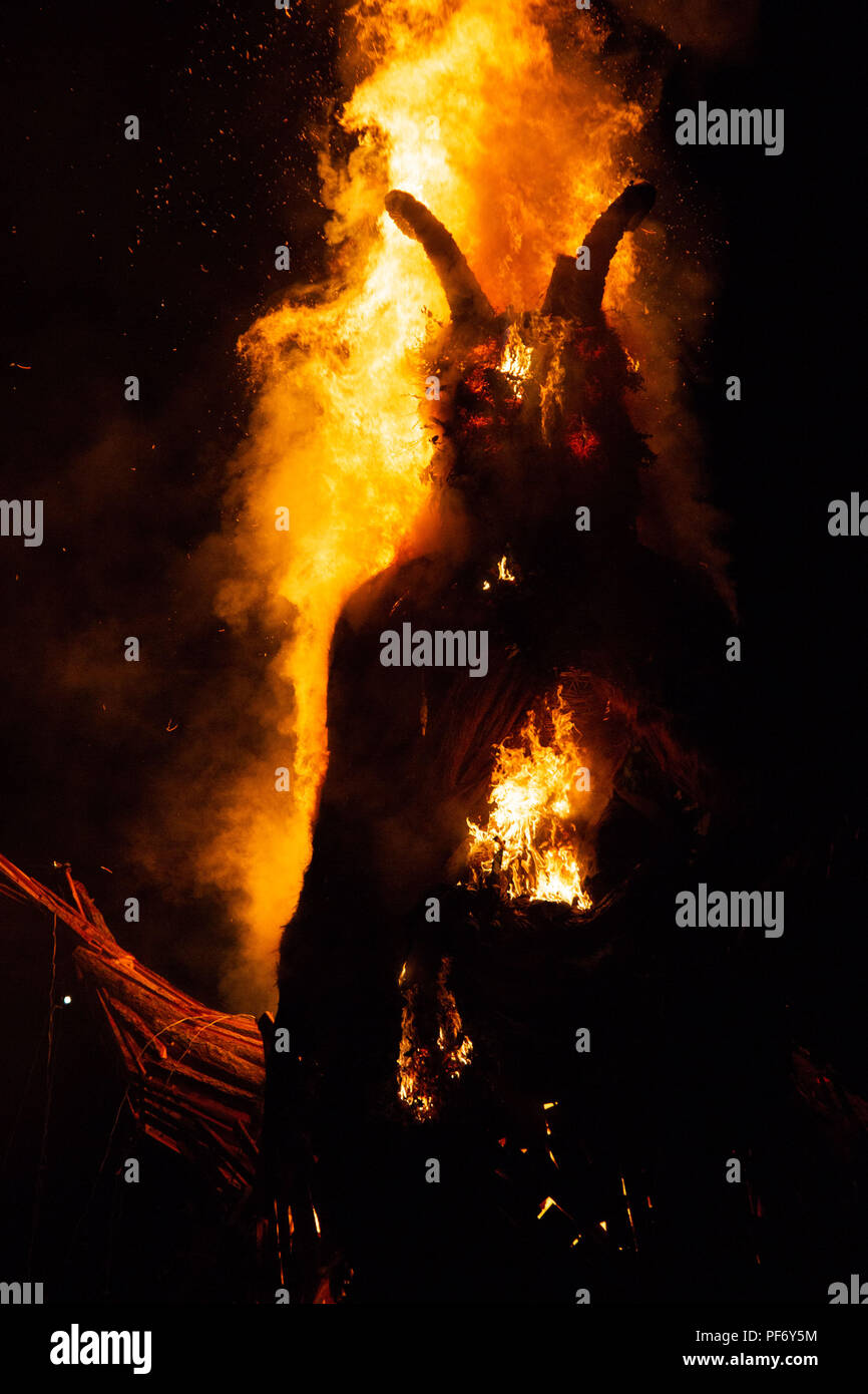 Glanusk Park, Brecon, Wales, 19. August 2018. Tag Drei der Grüne Mann Musik Festival in die Brecon Beacons Berge in Wales. Im Bild: Der riesige Grüne Mann Wicker Man leuchtet um Mitternacht am letzten Tag des Festivals. Bild: Rob Watkins/Alamy Stockfoto Glanusk Park, Brecon, Wales, 19. August 2018. Tag Drei der Grüne Mann Musik Festival in die Brecon Beacons Berge in Wales. Im Bild: Der riesige Grüne Mann Wicker Man leuchtet um Mitternacht am letzten Tag des Festivals. Bild: Rob Watkins/Alamy Stockfoto