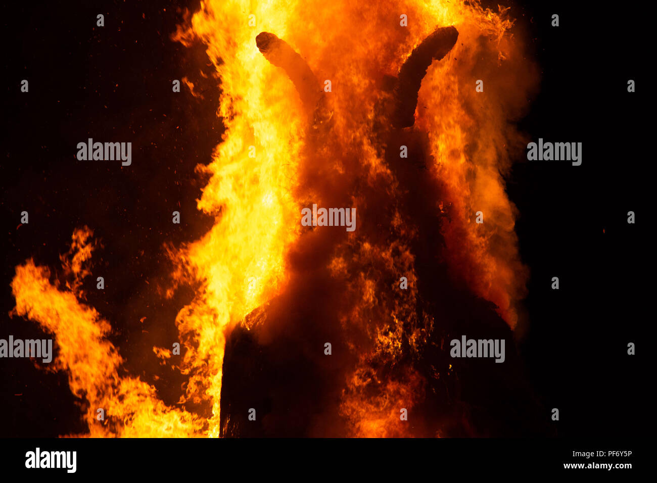 Glanusk Park, Brecon, Wales, 19. August 2018. Tag Drei der Grüne Mann Musik Festival in die Brecon Beacons Berge in Wales. Im Bild: Der riesige Grüne Mann Wicker Man leuchtet um Mitternacht am letzten Tag des Festivals. Bild: Rob Watkins/Alamy Stockfoto