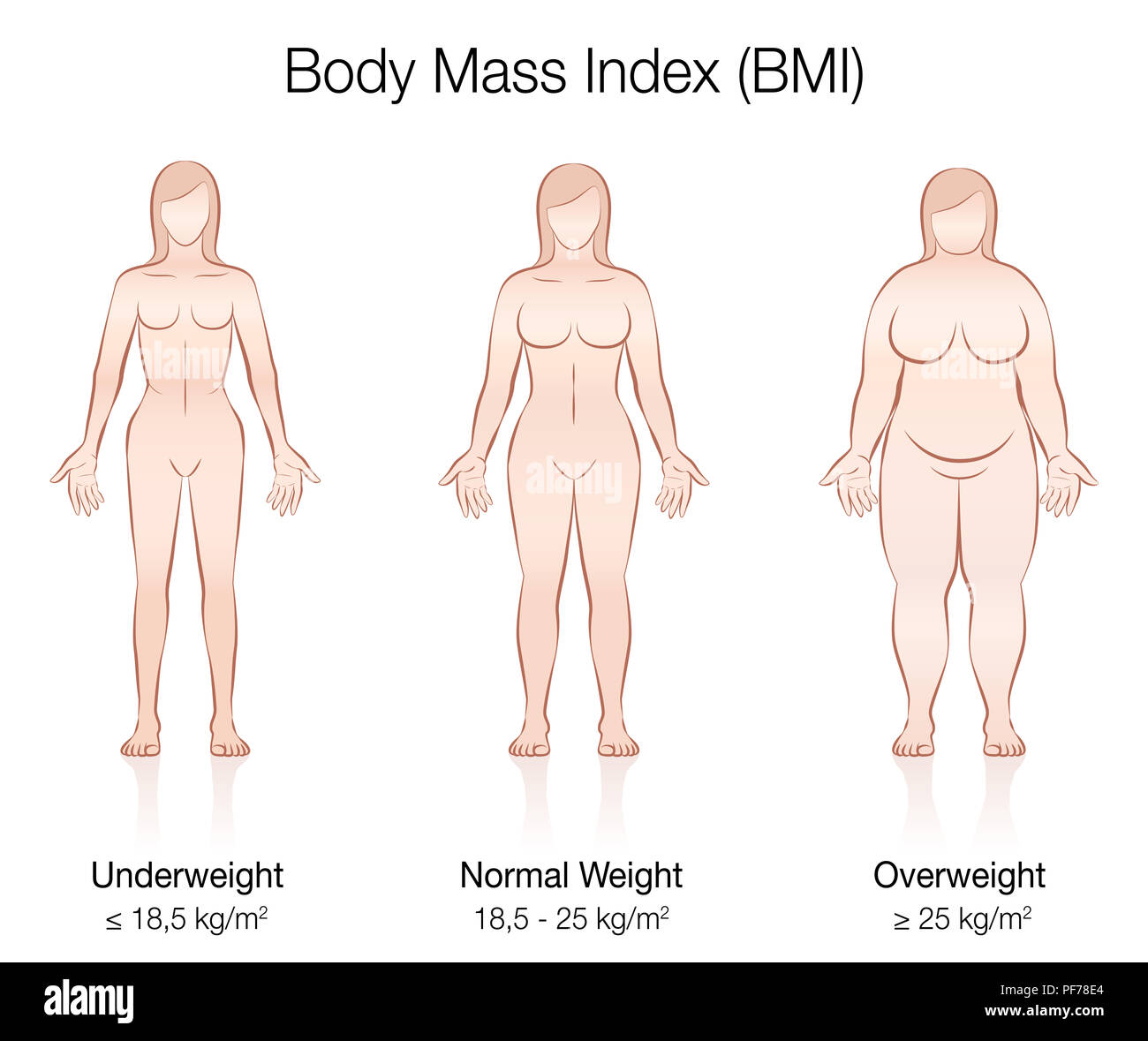 Body Mass Index BMI. Untergewicht, Normalgewicht und Übergewicht weibliche Körper - Darstellung der drei Frauen mit unterschiedlichen Anatomie. Stockfoto