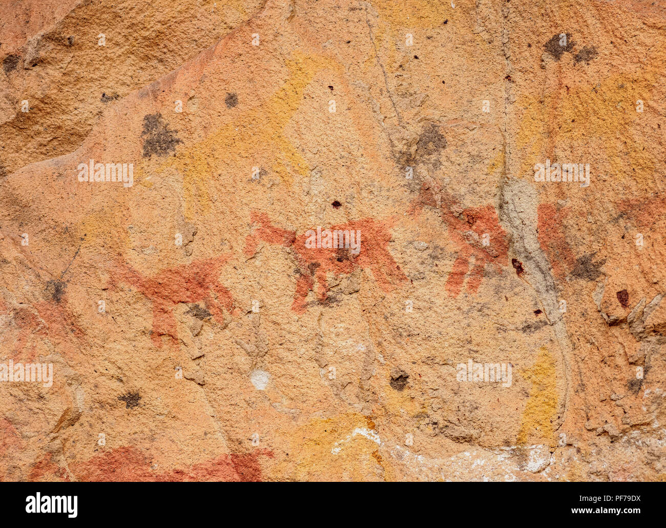 Cueva de las Manos, UNESCOWeltkulturerbe, Rio Pinturas Canyon, Provinz
