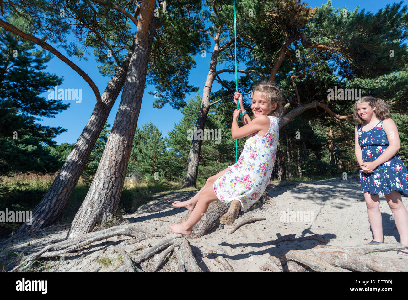 Zwei Mädchen haben Spaß mit Seil schwingen unter großen Baum im Sommer Kiefer Stockfoto