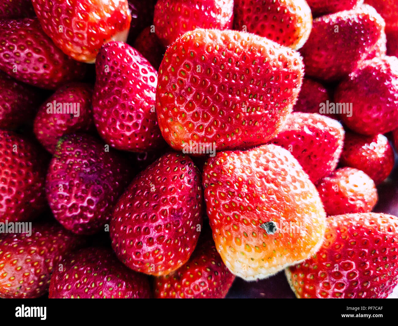 Hintergrund aus erntefrischen Erdbeeren direkt über Stockfoto