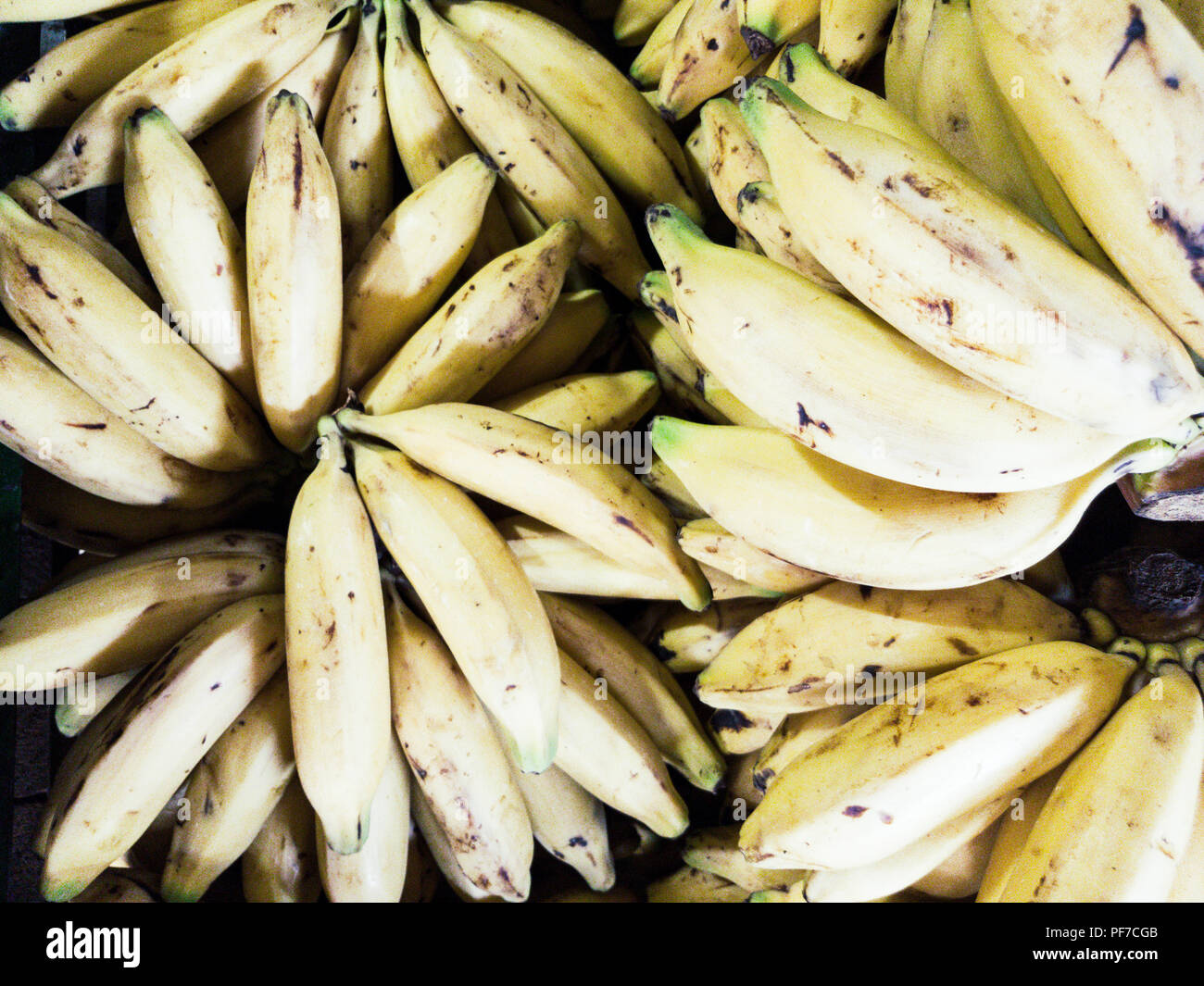 Bananen Insel Hintergrund, Farbe gelb, Konzept Foto für Küche Dekoration Stockfoto
