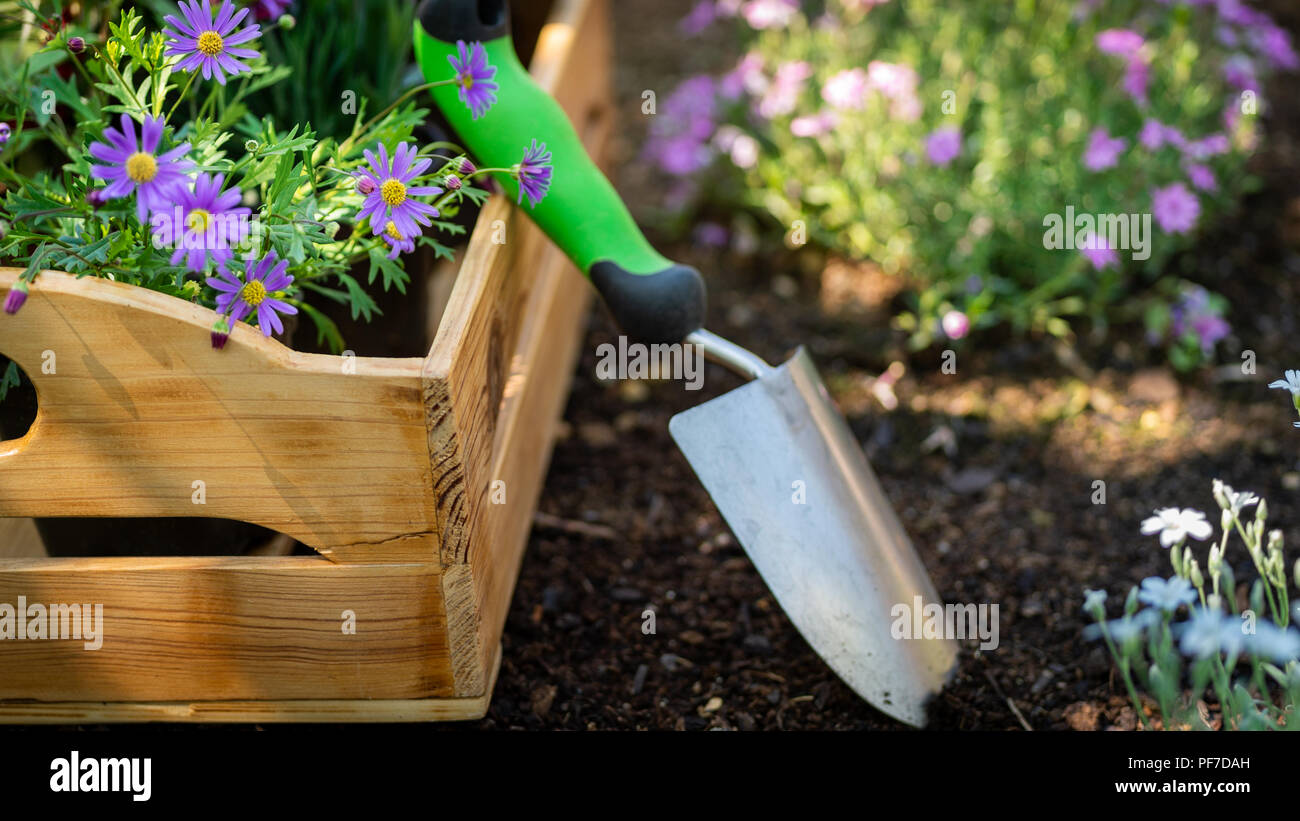 Im Garten Arbeiten Garten Werkzeuge Und Kiste Voll Von Wunderschonen Pflanzen Bereit Fur Das Einpflanzen Spring Garden Arbeitet Konzept Garten Und Landschaftsbau Fur Kleine Und Mittlere Unternehmen Starten Stockfoto Bild 215908409 Alamy