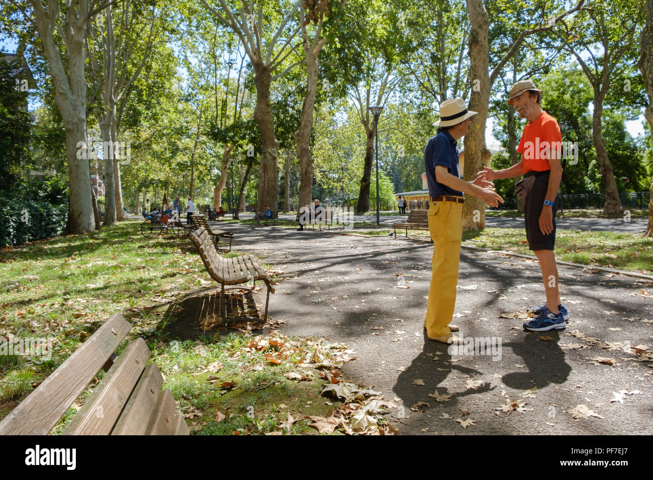 Farbenfroh italienische Männer sowohl mit Stroh hüte Sitzung und Begrüßung im Sommer Morgen im Park gekleidet. Piacenza, Italien. Stockfoto