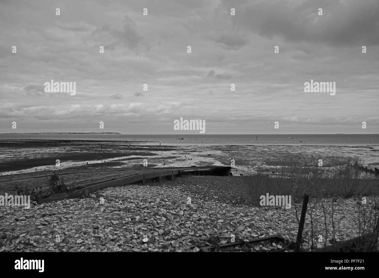 Whitstable Strandpromenade und Seebrücke. Whitstable, Kent, England. Stockfoto