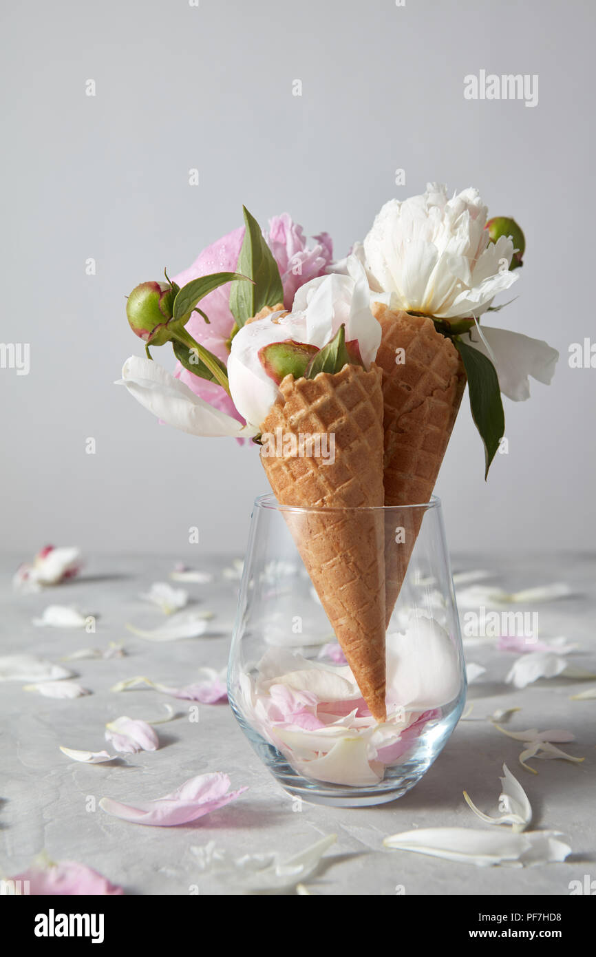 Blühende rosa und weißen Pionen mit grünen Blättern in Glass Vase, die Blütenblätter auf einem grauen Hintergrund, Platz für Text. Sommer Konzept der herzlichen Glückwunsch für Mutter Stockfoto