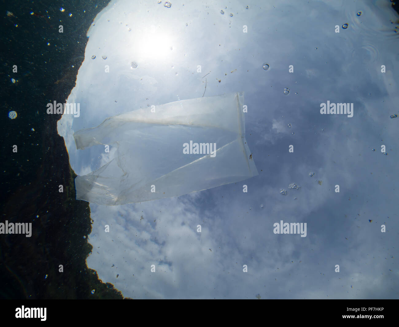 Plastikbeutel schwimmen im Meer in der Nähe der Oberfläche. Von unten mit der Sonne und Wolken im Hintergrund Schuß Stockfoto