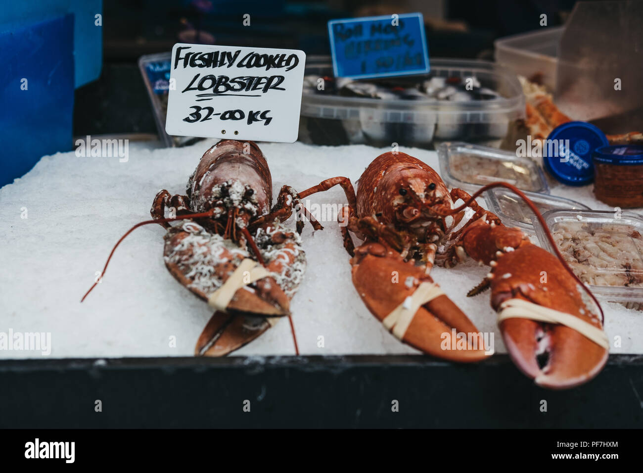 Frisch Hummer auf Verkauf zu einem Street Food Markt gekocht. Stockfoto