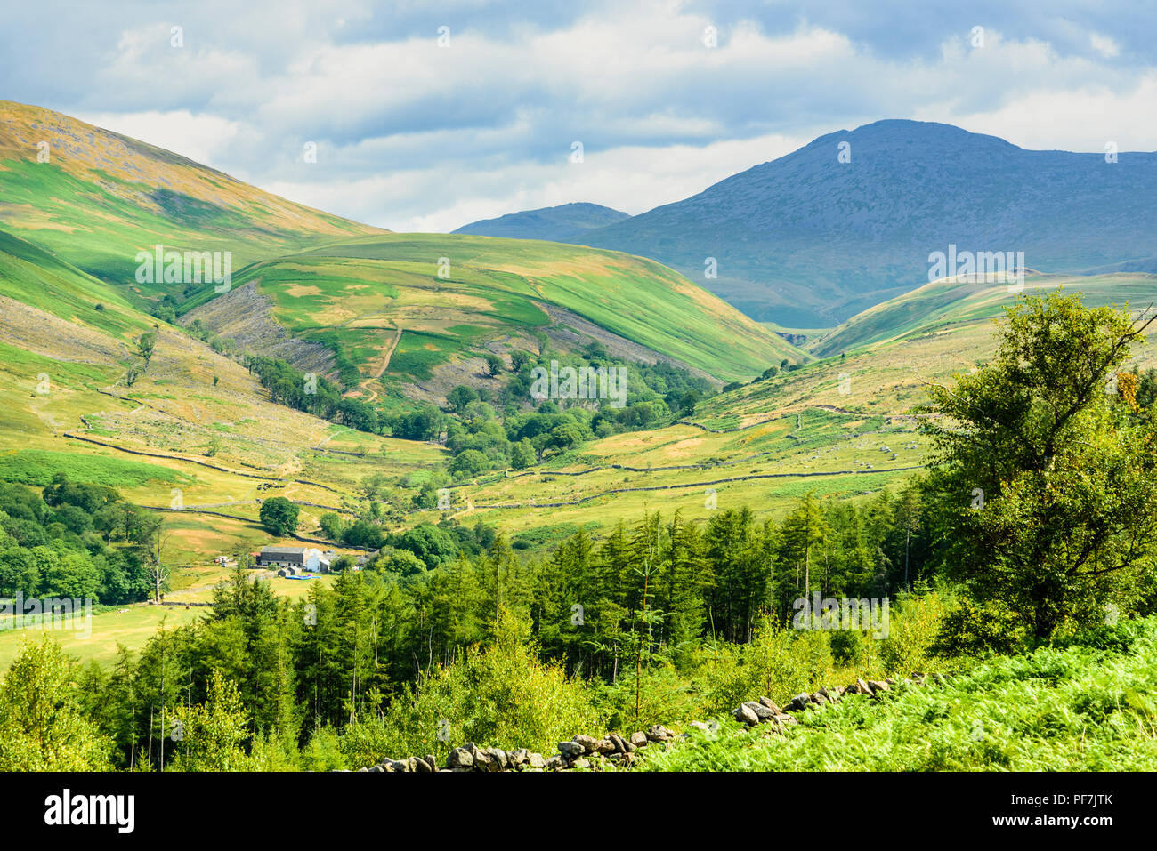 Miterdale und Scafell in der westlichen Hügel des Lake District Stockfoto