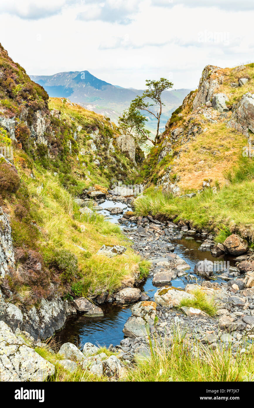 Mini-Schlucht auf Newlands Beck aus dem Dale Head - Hohe Spion Track im nordwestlichen Fells des Lake District. Die fernen Gipfel ist causey PIke. Stockfoto