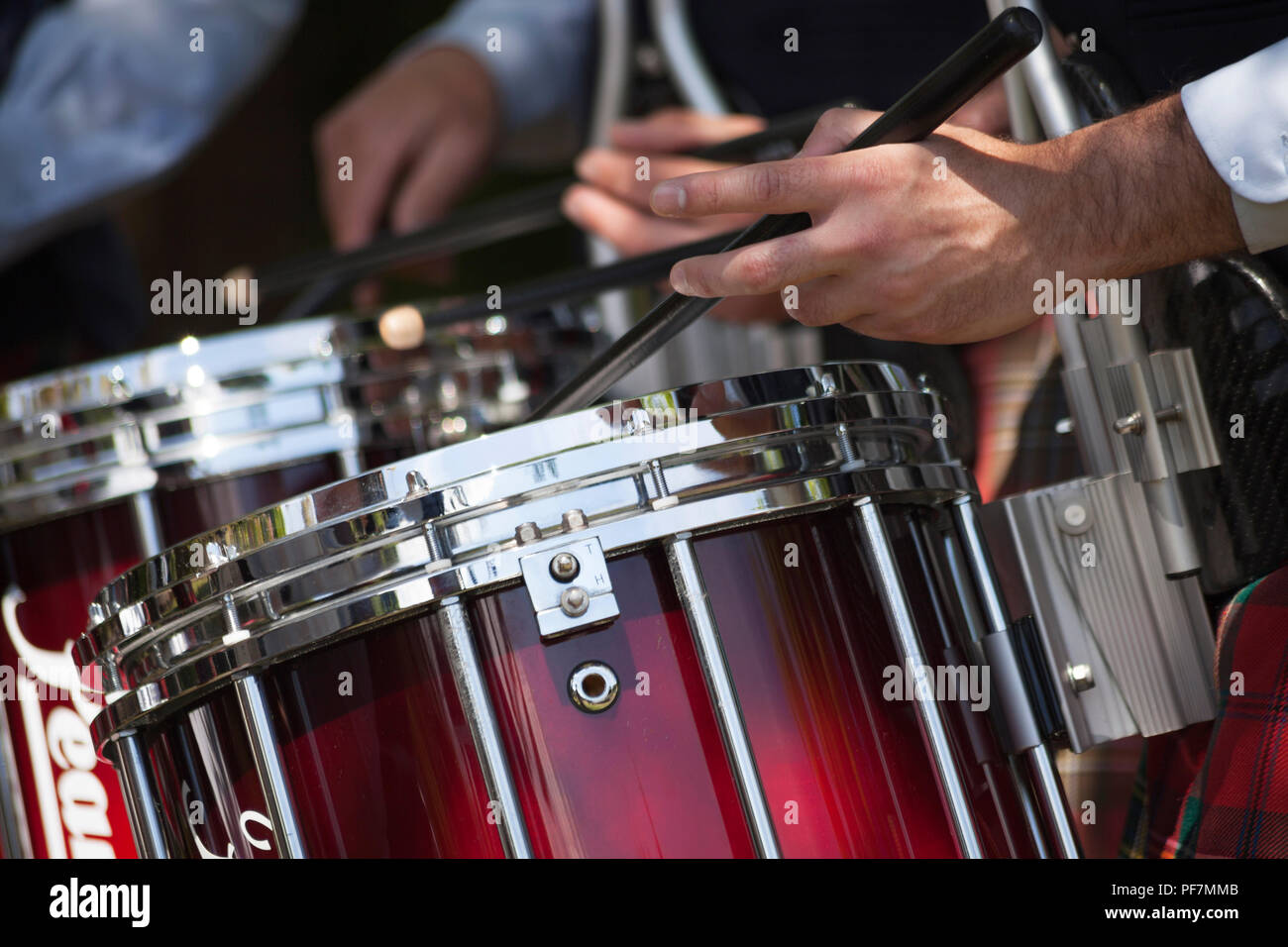 Snare innerhalb der Pipe Band, die trommelstöcke und tartan Trommel gespielt. Stockfoto