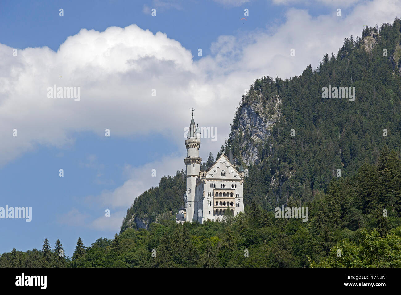 Schloss Neuschwanstein, Hohenschwangau, Allgäu, Bayern, Deutschland Stockfoto