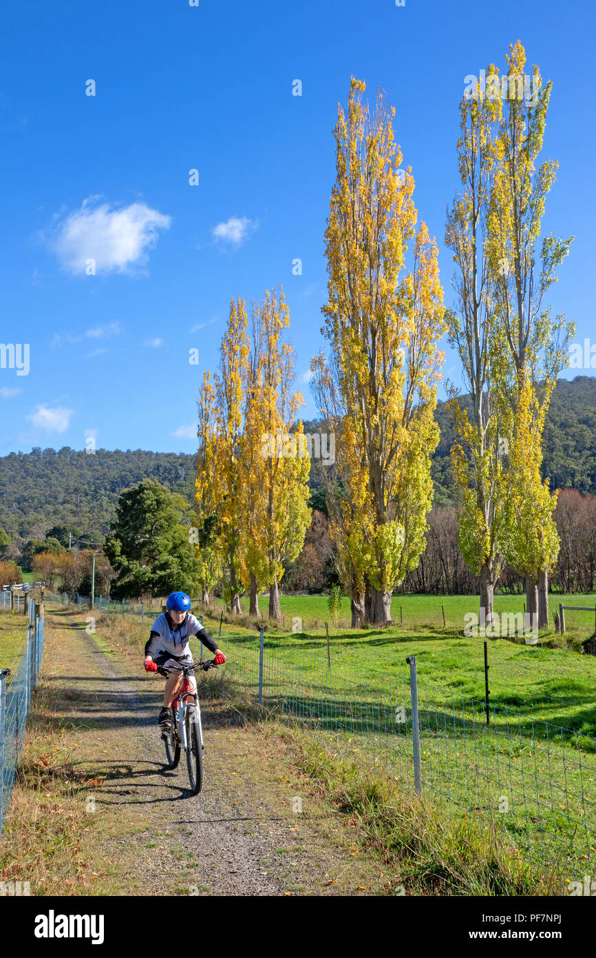 Radfahren auf der North East Rail Trail Stockfoto