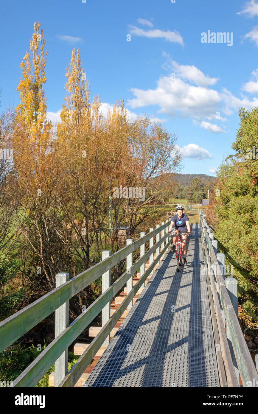 Radfahren auf der North East Rail Trail Stockfoto