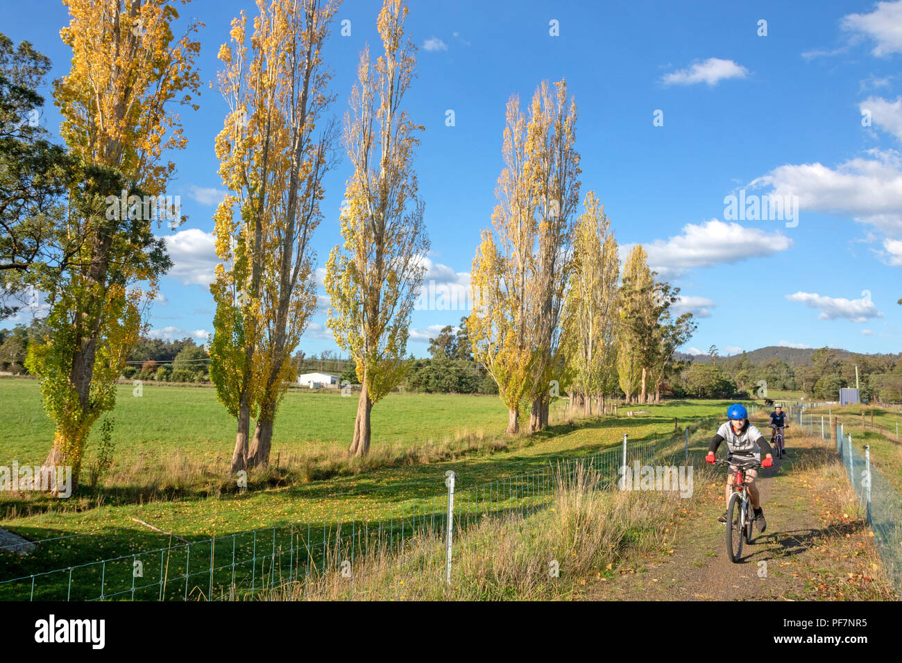 Radfahren auf der North East Rail Trail Stockfoto