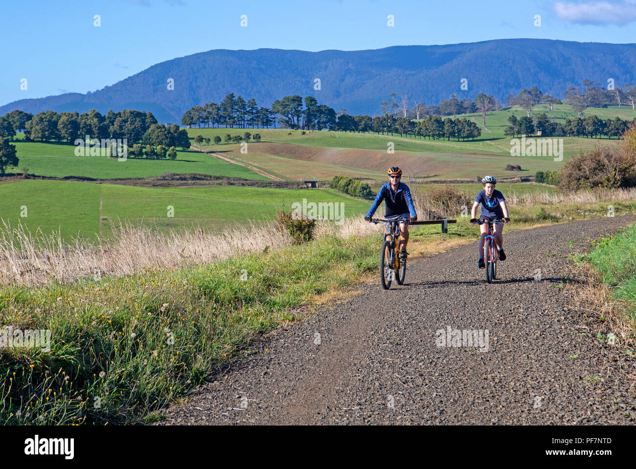 Radfahren auf der North East Rail Trail Stockfoto