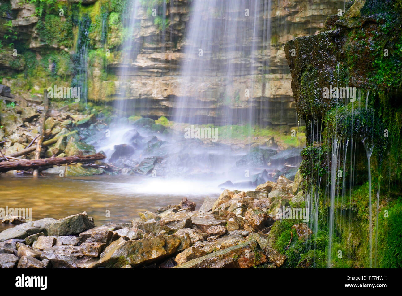 Wasserfälle und grüne Moos bedeckt Sedimentgesteinen des Niagara Escarpment, Ontario, Kanada Stockfoto