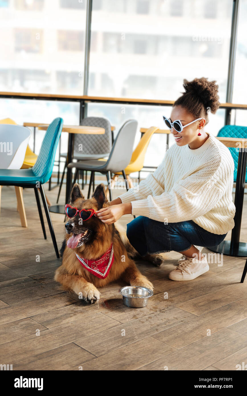 Lustige curly Frau, hellen Sonnenbrille auf Ihren Hund Stockfoto