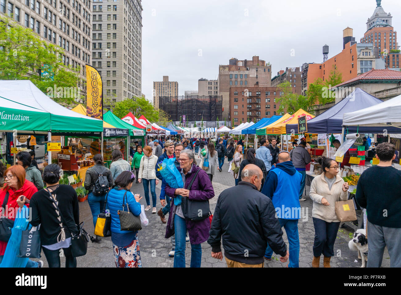 Die Leute, die eine Straße in New York City Stockfoto