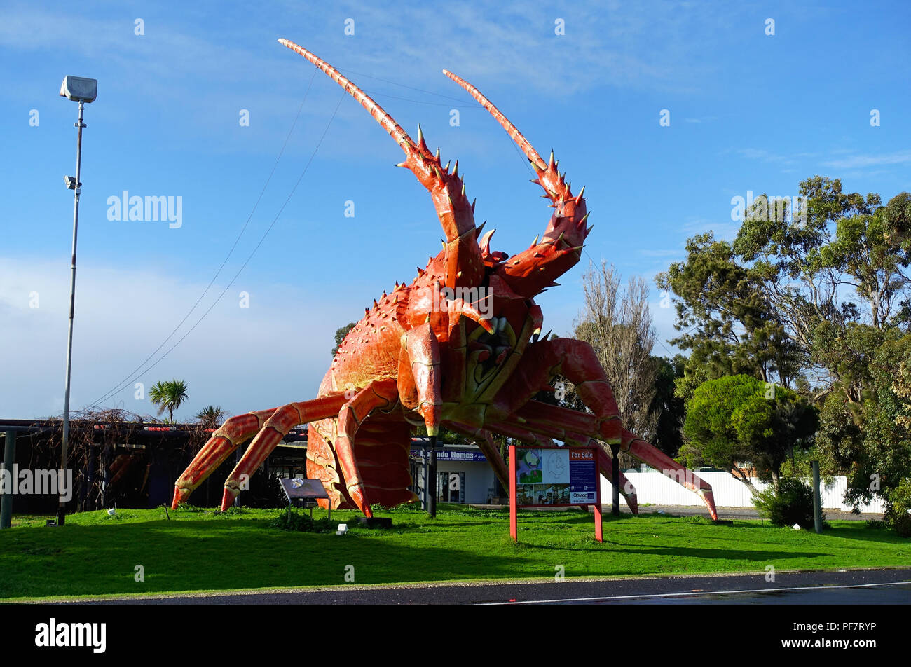 Die riesigen Hummer auch wie die großen Hummer oder Langusten in Kingston, Süd Australien bekannt Stockfoto