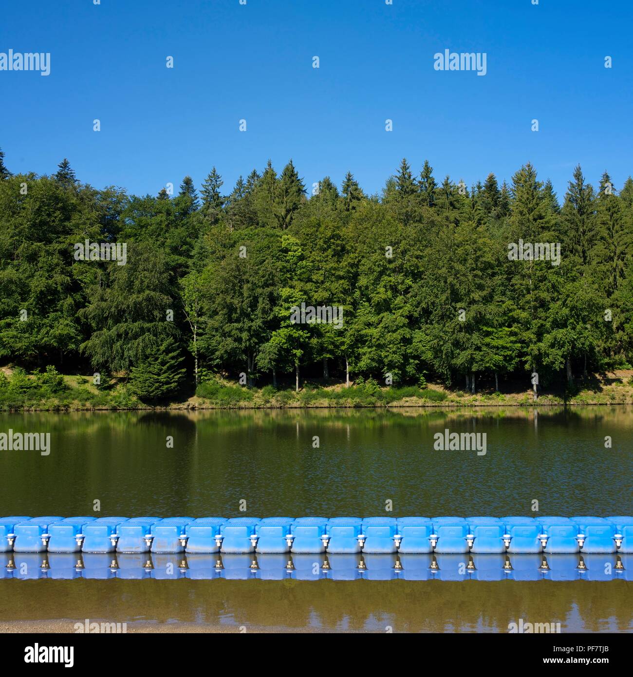 Zeile mit blauen schwebt trennt das Wasser von einer von Bäumen gesäumten See, Auvergne, Frankreich Stockfoto