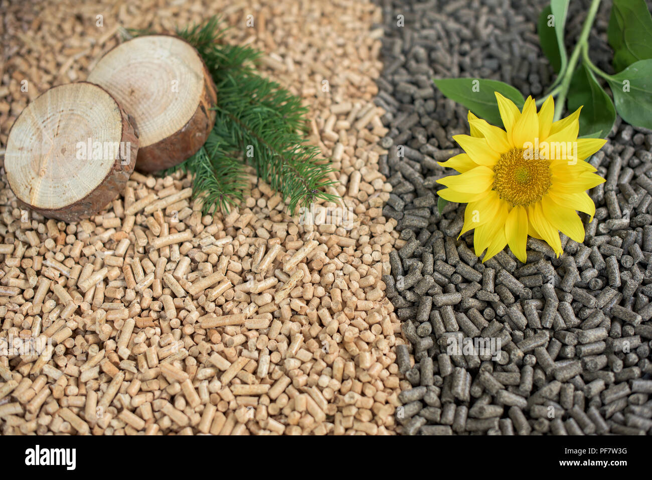 Erneuerbare Energien - Kiefer und Sonnenblumenkerne und pellets Stockfoto