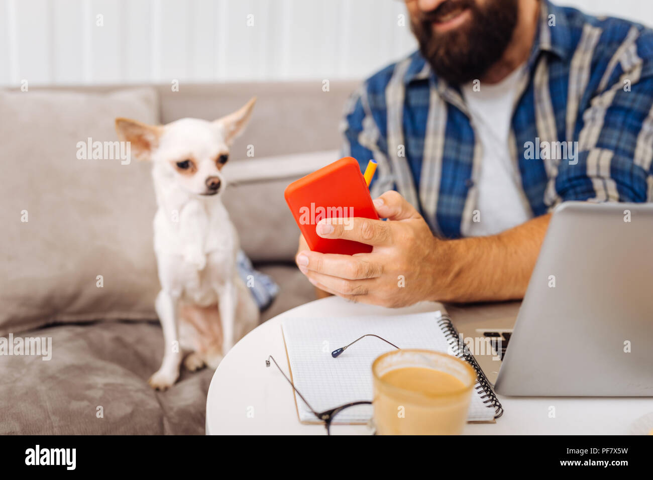 Bärtiger Mann mit etwas seinen kleinen Hund auf dem Telefon Stockfoto