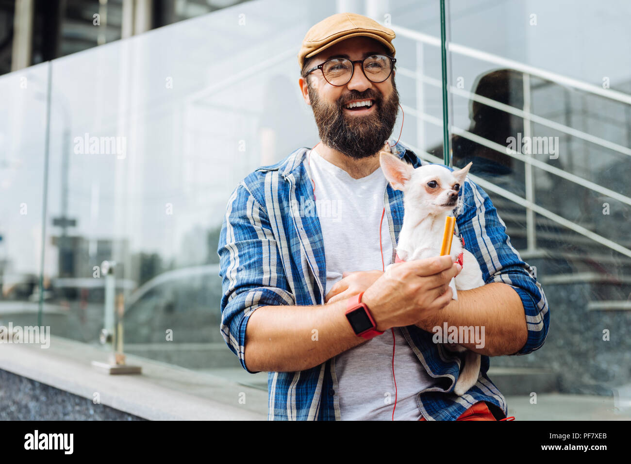 Dunkelhaarigen Mann lachend, während Sie am Wochenende zu Fuß mit Hund Stockfoto