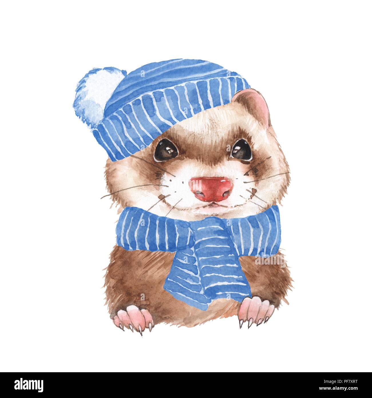 Cute in hat Frettchen. Aquarell Abbildung auf weißen isoliert Stockfoto