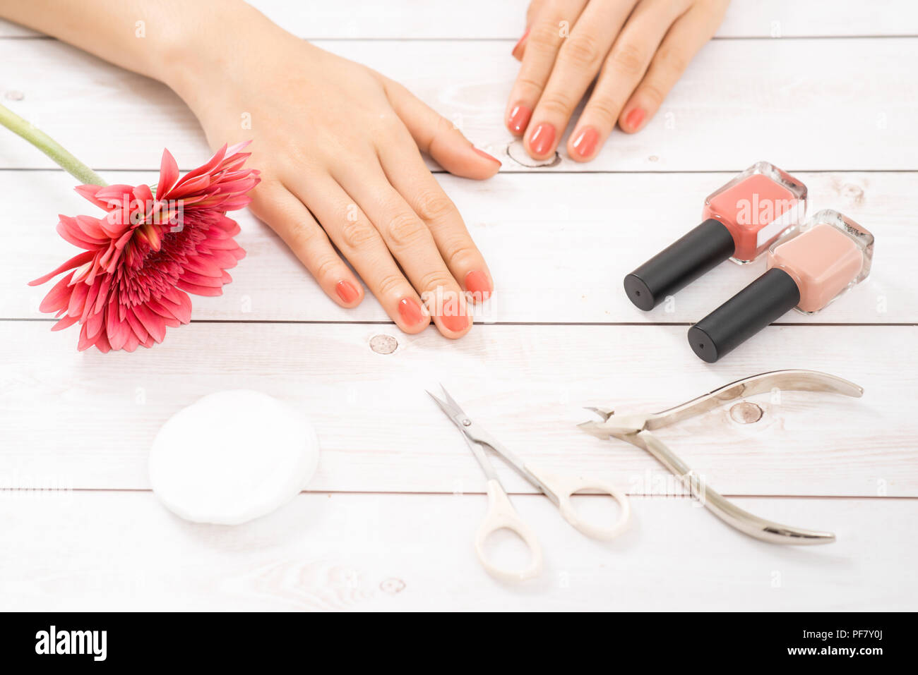 Nagelpflege und Maniküre. Schöne weibliche Hände mit rosa Nagellack Stockfoto