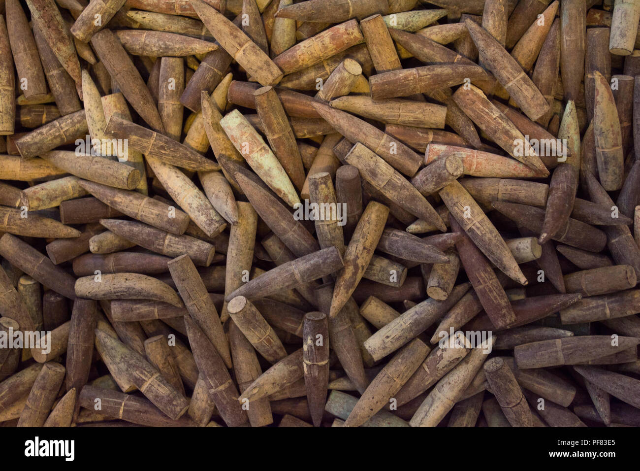 Ersten Weltkrieg alte Gewehrkugeln in Çanakkale, (Gallipoli) Türkei Stockfoto