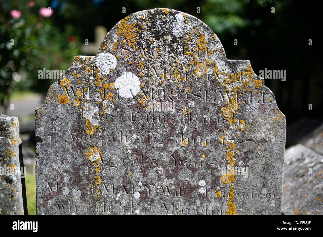 Nahaufnahme von einem alten Grabstein im Englischen Friedhof mit Moos und Flechten bedeckt Stockfoto