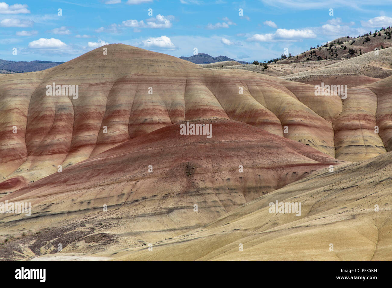 Schöne Painted Hills in Oregon Stockfoto