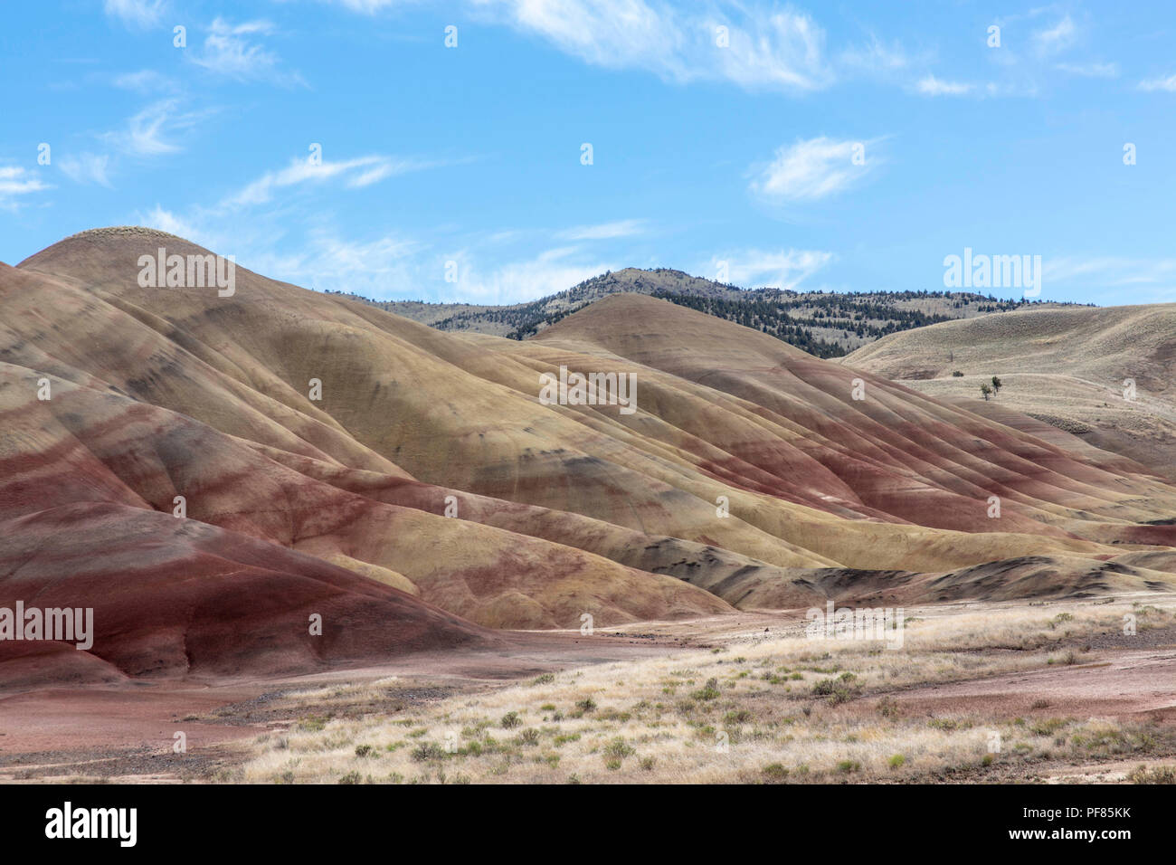 Schöne Painted Hills in Oregon Stockfoto