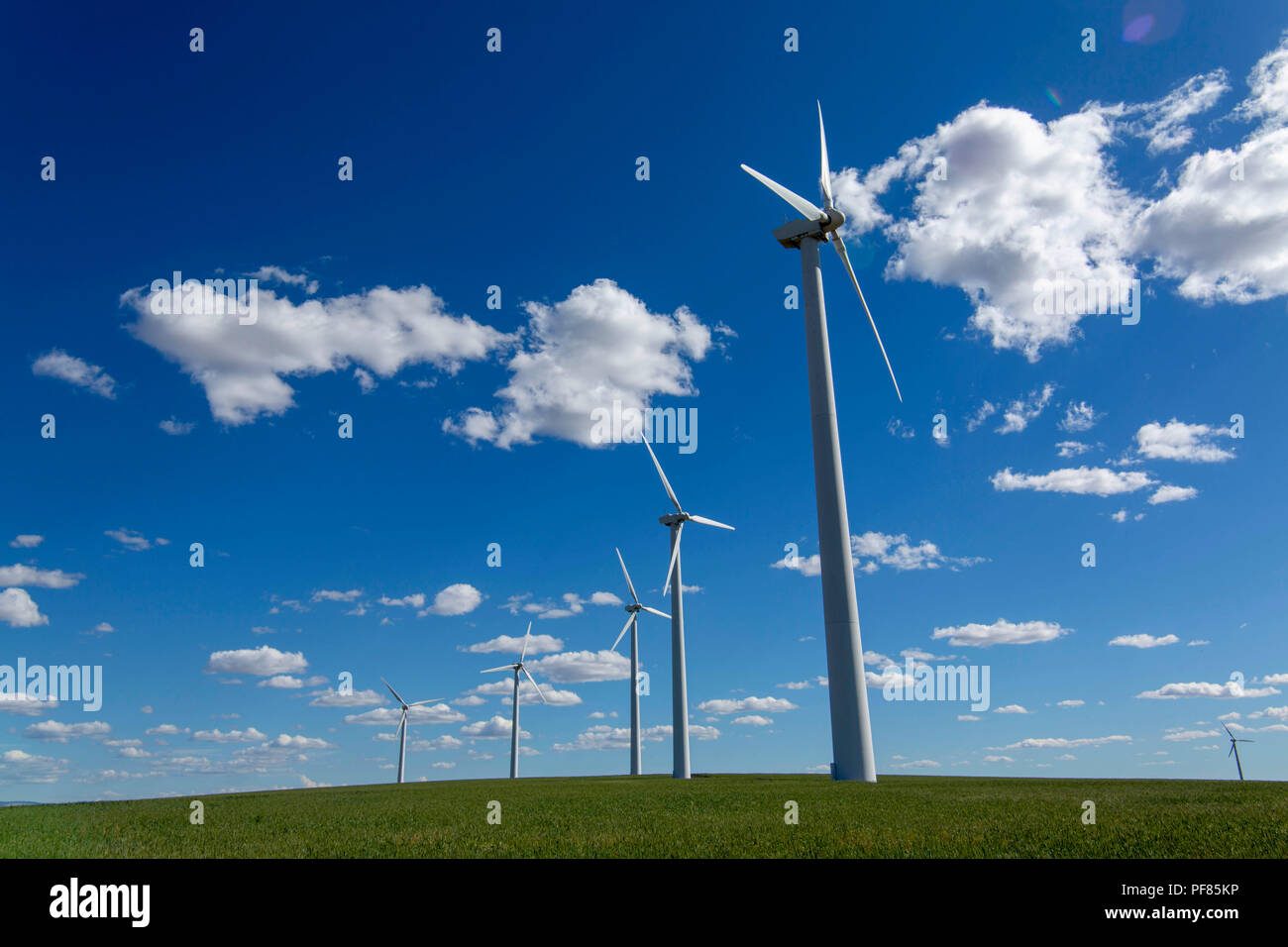 Windenergieanlagen liefert die Stromversorgung in Oregon Stockfoto
