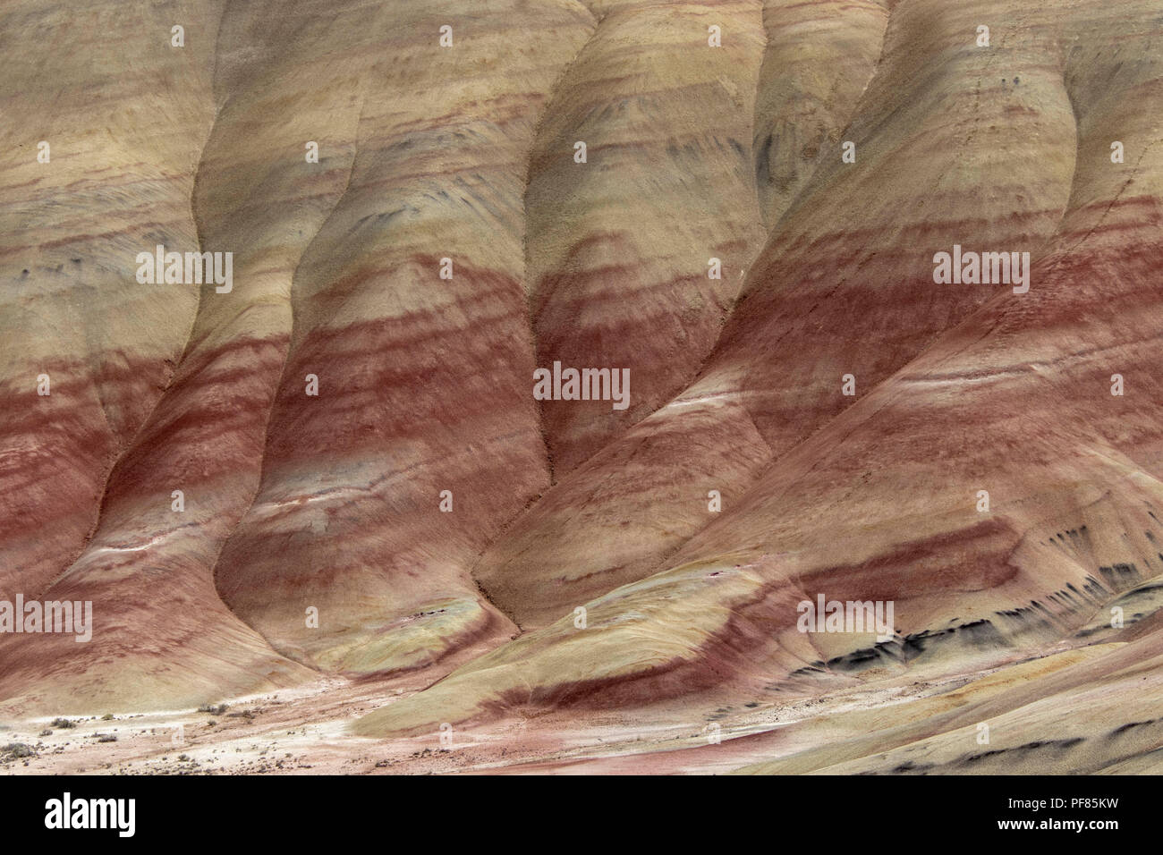 Schöne Painted Hills in Oregon Stockfoto