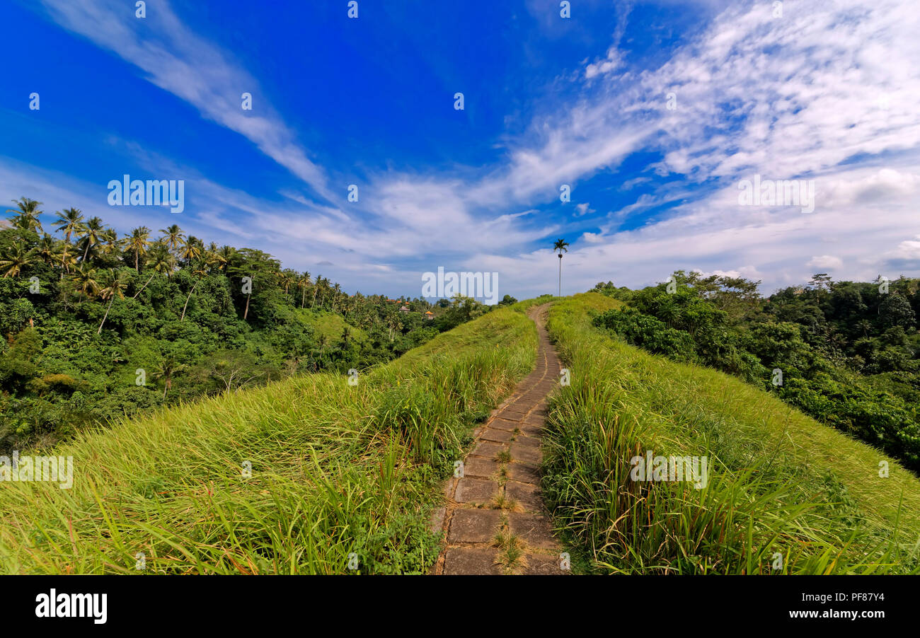 (Campuhan Sayan) Ridge, Ubud, Bali Stockfoto