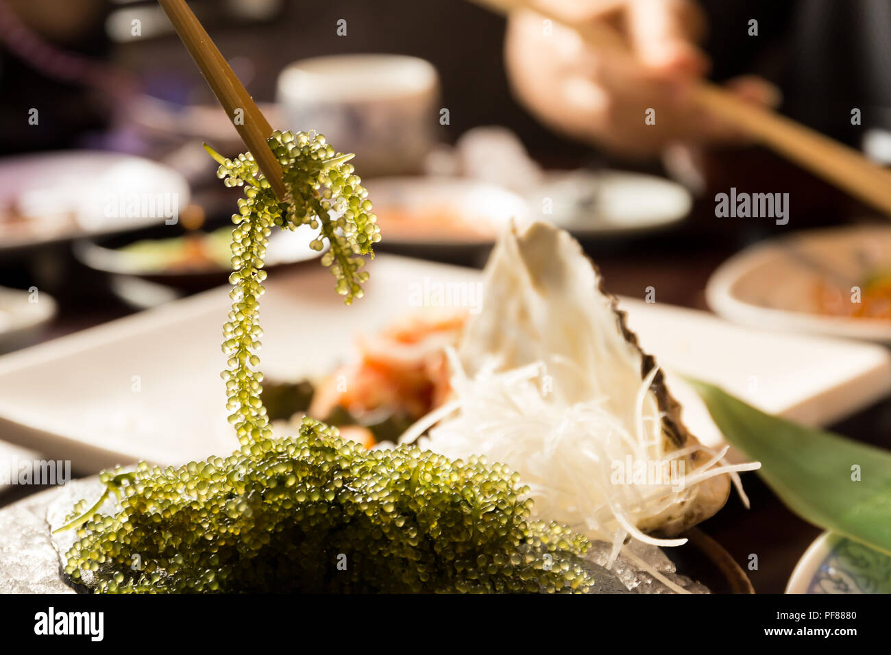 Stäbchen mit Umi-budou Algen oder das Meer Trauben (grün Kaviar) Algen gesundes Essen Stockfoto